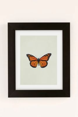 Chelsea Victoria The Queen Butterfly Art Print