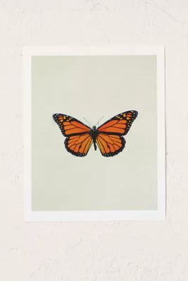 Chelsea Victoria The Queen Butterfly Art Print