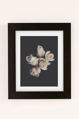 Ingrid Beddoes Pink Ivory Rose Art Print