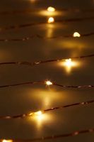 Firefly String Lights