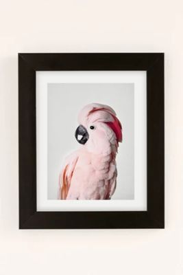 Sisi And Seb Pink Cockatoo Art Print