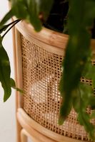 Rattan 12" Planter