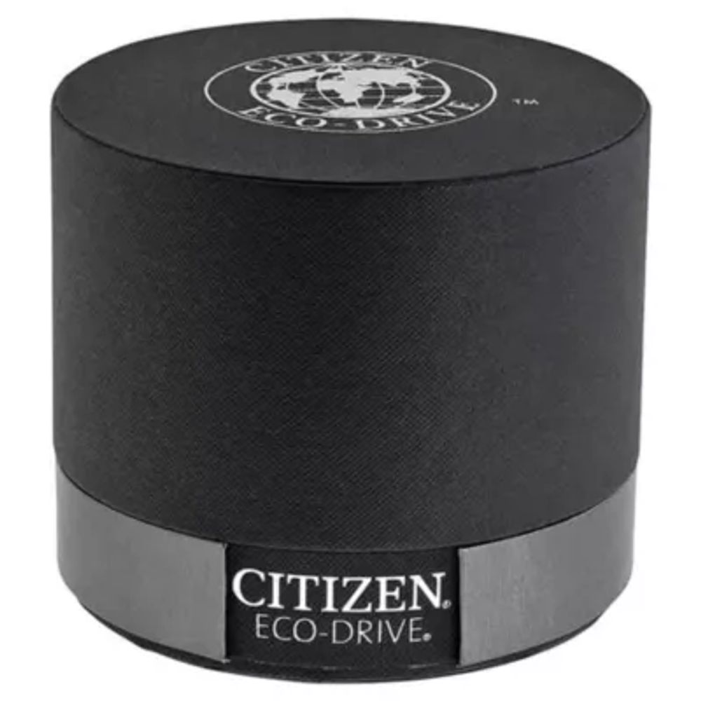 Citizen Eco-Drive Silver Dial Black Leather Men's Watch AO9000-06B