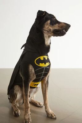 DC Comics Batman Dog Halloween Costume