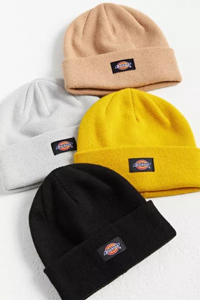 dickies uo exclusive core short roll beanie