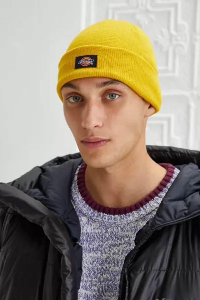 dickies short roll beanie