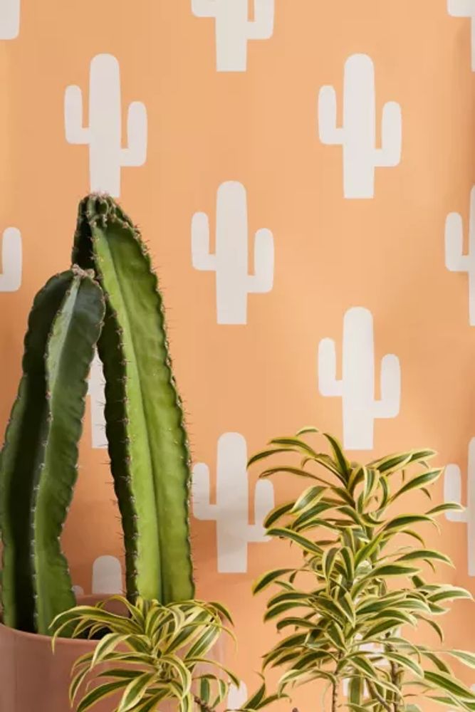 Removable Peel and Stick Wallpaper with Vintage Cactus