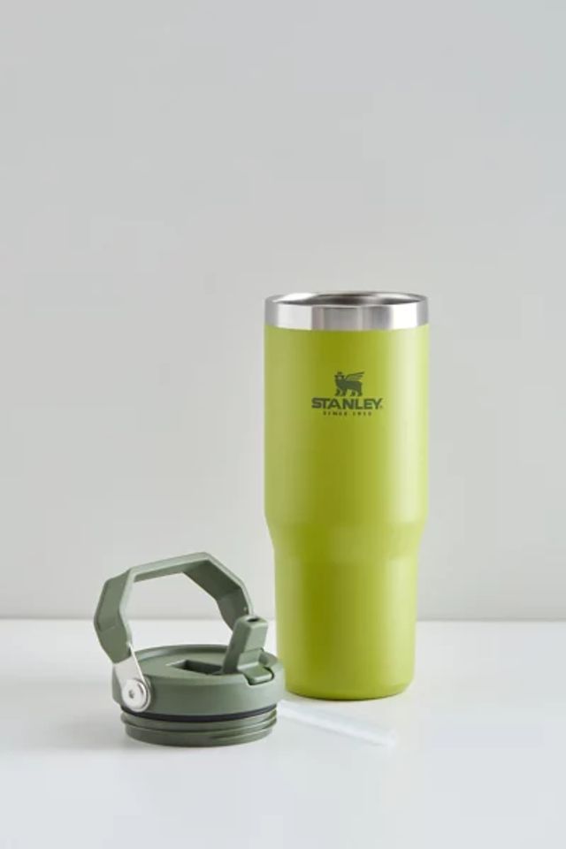 Urban Outfitters Stanley 2.0 Flip Straw 30 oz Tumbler