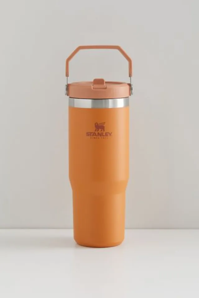 Urban Outfitters Stanley Quencher 20 oz Travel Tumbler