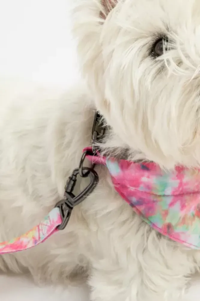 Urban Outfitters Silver Paw Tie Dye Dog Bandana Collar and Leash | The  Summit