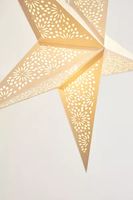 5-Point Star Paper Lantern