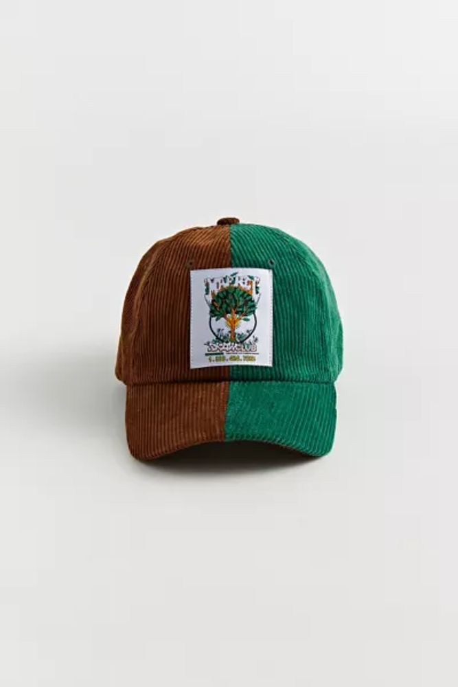 Market UO Exclusive From The Seed Split Corduroy Baseball Hat