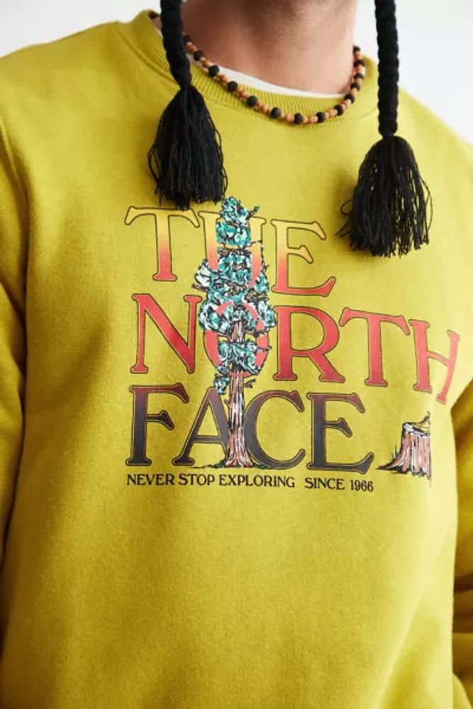 The North Face Never Stop Exploring Crew Neck Sweatshirt