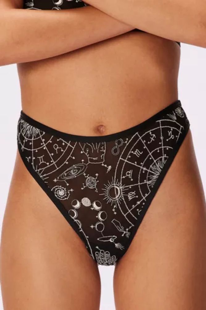 Urban Outfitters Parade Sexy Silky Mesh Luxe High Cut Thong