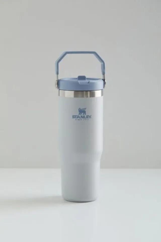 STANLEY IceFlow™ Flip Straw Tumbler 30oz Iris in 2023  Vacuum insulated  water bottle, Insulated water bottle, Stainless steel tumblers