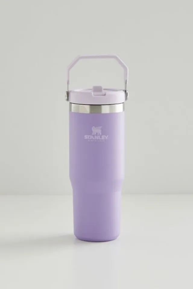 Urban Outfitters Stanley 2.0 Flip Straw 30 oz Tumbler