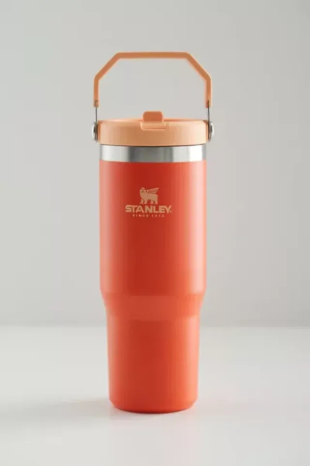 Urban Outfitters Stanley 2.0 Flip Straw 30 oz Tumbler