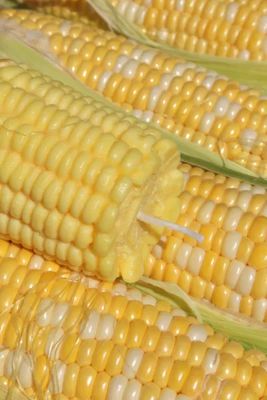 MMANN Candles Corn Shaped Candle