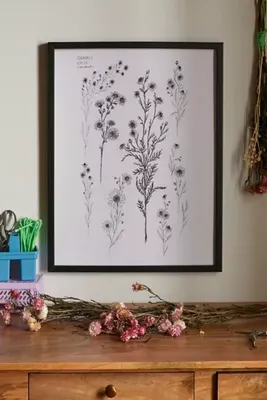 Bailey Drinkwater Chamomile Flower Study Art Print