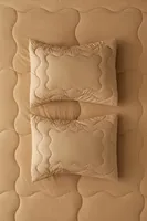 Squiggle Percale Super Plush Puff Sham Set