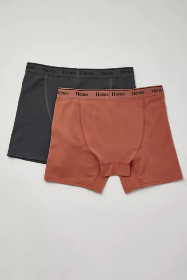 Urban Outfitters Hanes UO Exclusive Boxer Brief 2-Pack