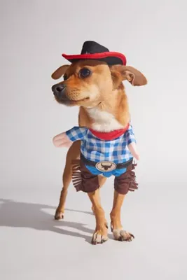 Cowboy Pet Costume