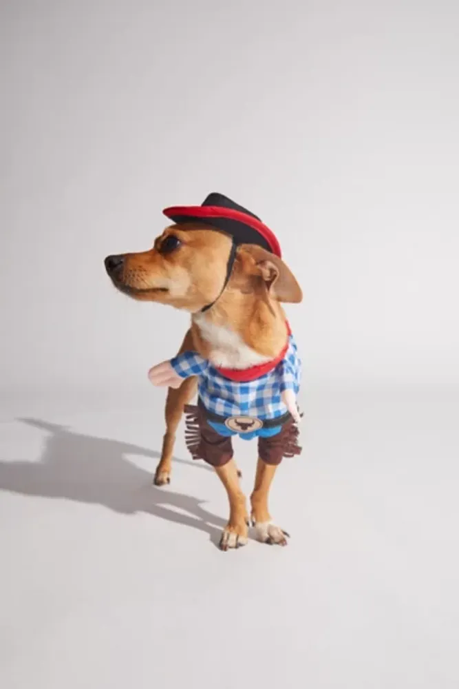 Cowboy Pet Costume