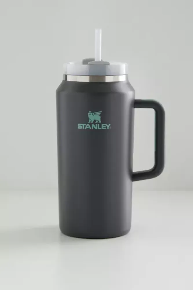 Urban Outfitters Stanley Quencher H2.0 FlowState™ 20oz Tumbler