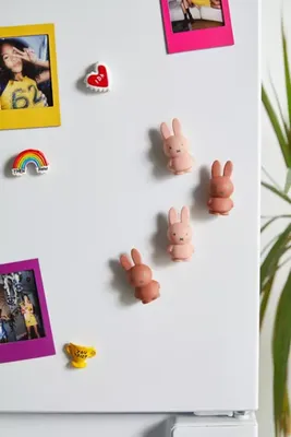 Miffy Bunny Magnet Set