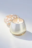 Mini Mushroom 4.5 oz Glass Candle