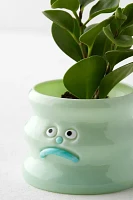 Goofy Face Planter