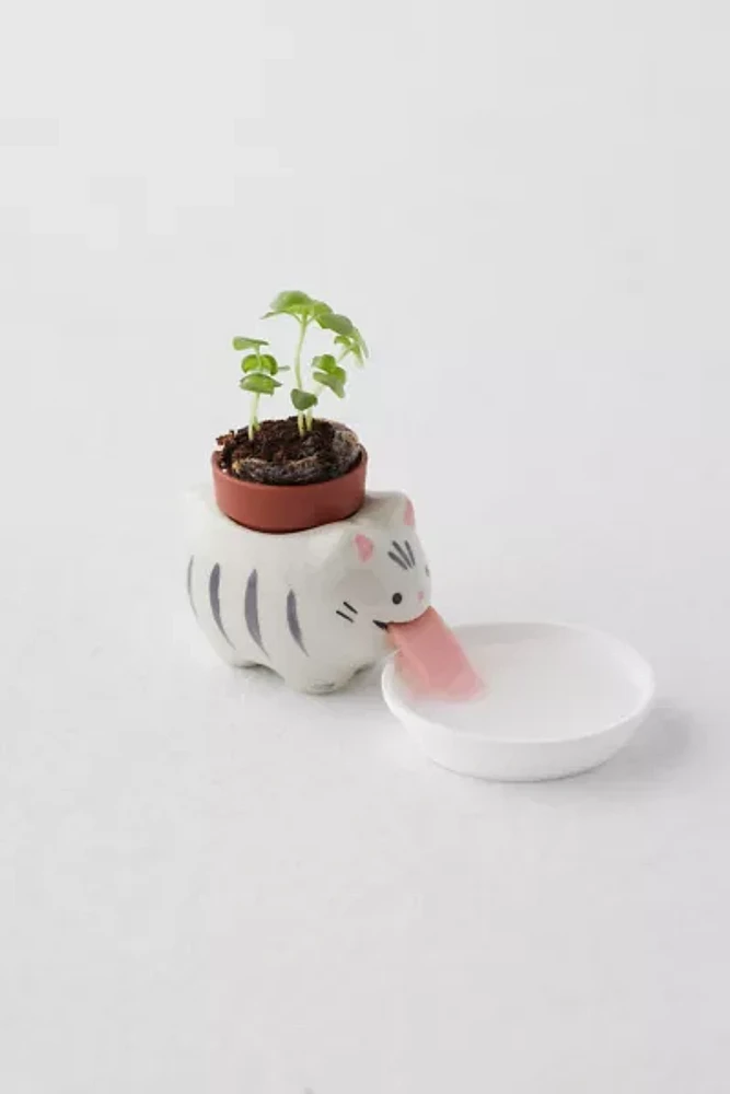 Cat Herb Planter Set