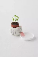 Cat Herb Planter Set