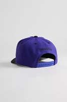 Mitchell & Ness Crown Jewels Pro Tampa Bay Rays Snapback Hat