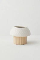 Cayla Mushroom Planter