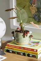 Sprouting Mushroom Planter