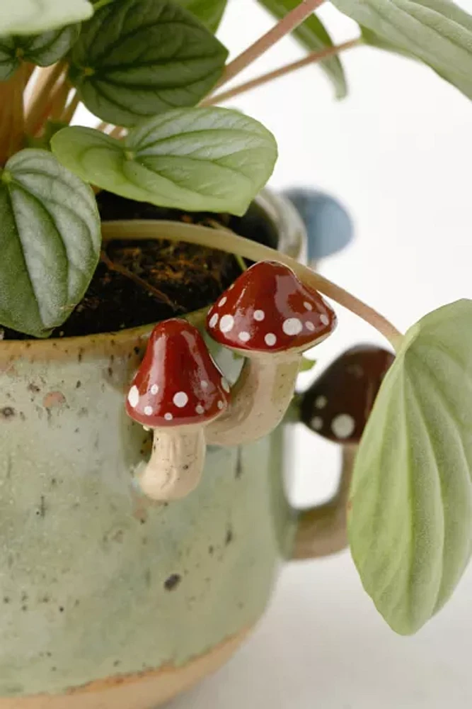 Sprouting Mushroom Planter