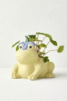 Frog Flower Hat Planter