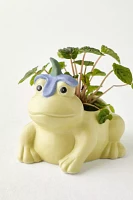 Frog Flower Hat Planter