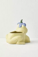 Frog Flower Hat Planter