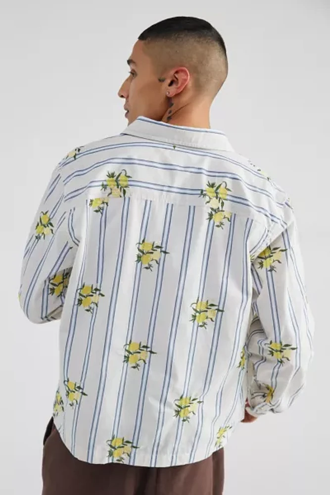 BDG Striped Embroidered Lemon Shirt