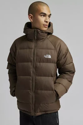 The North Face Hydrenalite Down Hoodie Puffer Jacket