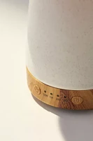 Mushroom Essential Oil Diffuser