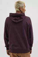 Mountain Hardwear Experiences Hoodie Sweatshirt