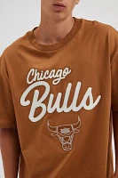 Pro Standard Chicago Bulls Paint The City Graphic Tee