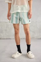 Standard Cloth Printed Stripe Swim Short