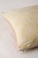 Urban Renewal Remnants Sun Faded Kantha Throw Pillow