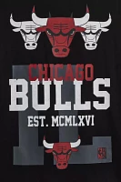 Mitchell & Ness NBA Chicago Bulls Soul Team Logo Graphic Tee