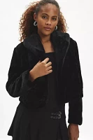 Blank NYC Hot To Trot Shawl Collar Faux Fur Jacket