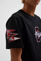 Pro Standard Chicago Bulls Team Logo Embroidered Tee